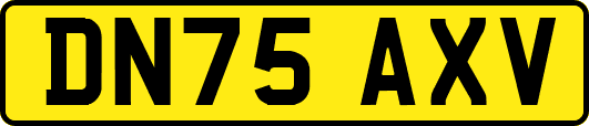 DN75AXV