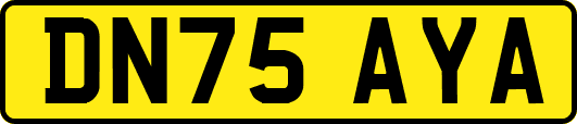 DN75AYA