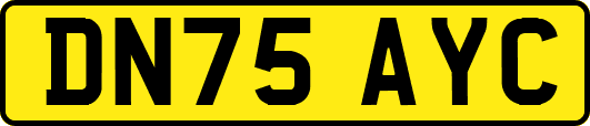 DN75AYC