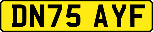 DN75AYF