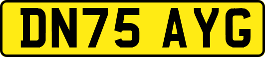 DN75AYG