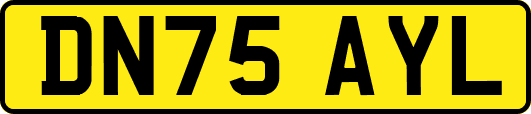 DN75AYL