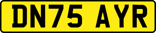 DN75AYR