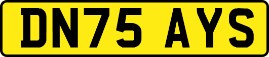 DN75AYS