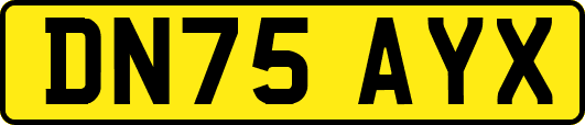 DN75AYX