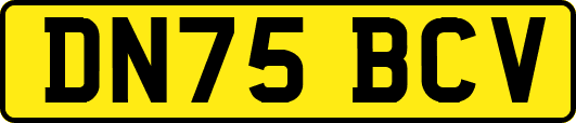 DN75BCV