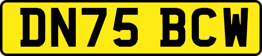 DN75BCW