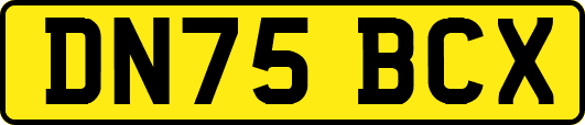 DN75BCX