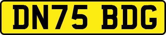 DN75BDG