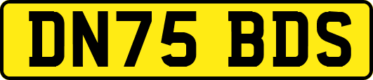 DN75BDS