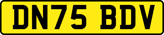 DN75BDV
