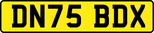 DN75BDX