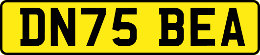 DN75BEA