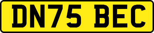 DN75BEC