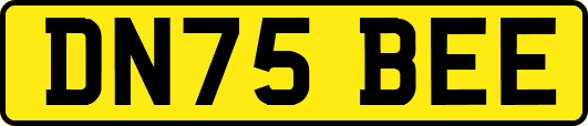 DN75BEE