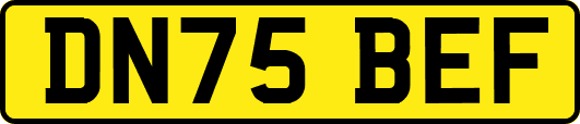 DN75BEF