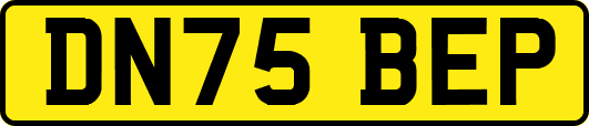 DN75BEP