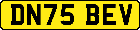 DN75BEV