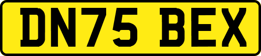 DN75BEX