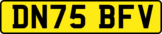 DN75BFV