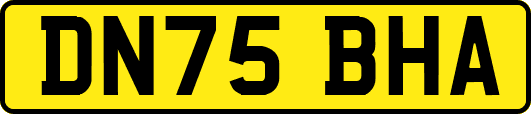 DN75BHA