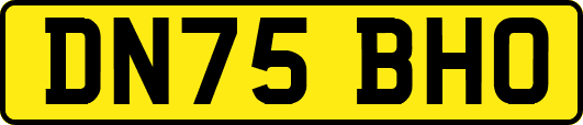 DN75BHO