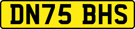DN75BHS
