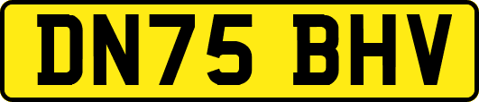 DN75BHV