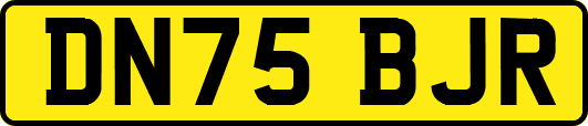 DN75BJR