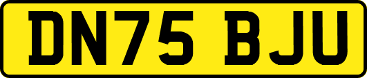 DN75BJU