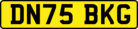 DN75BKG