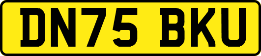 DN75BKU