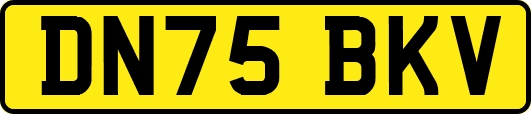 DN75BKV