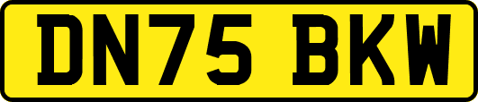 DN75BKW
