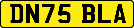 DN75BLA