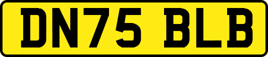 DN75BLB