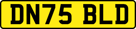 DN75BLD