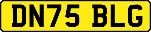 DN75BLG