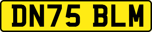 DN75BLM