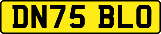 DN75BLO