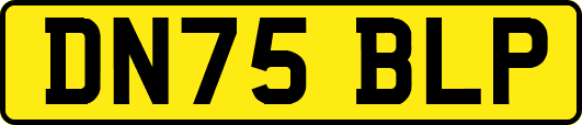 DN75BLP
