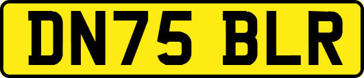 DN75BLR