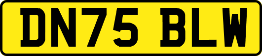 DN75BLW