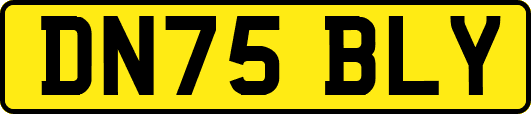 DN75BLY