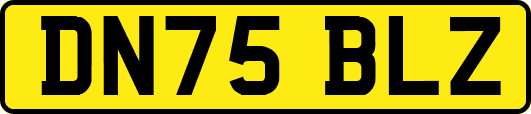 DN75BLZ