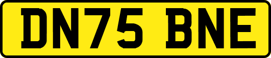 DN75BNE