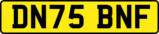 DN75BNF