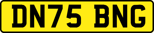 DN75BNG