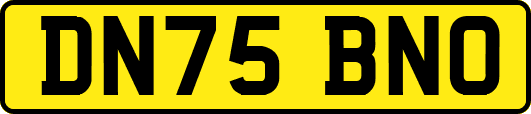 DN75BNO