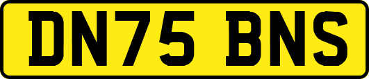 DN75BNS